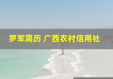 罗军简历 广西农村信用社